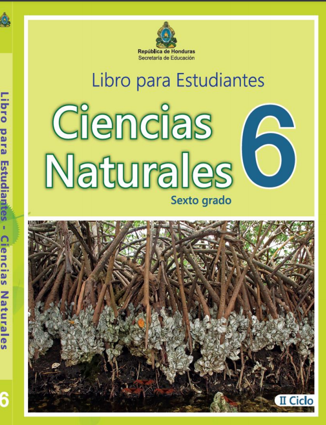 Libro de Ciencias Naturales Sexto 6 Grado Honduras